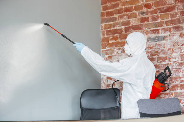 Best Mold-Related Health Consultation  in Freeport, TX