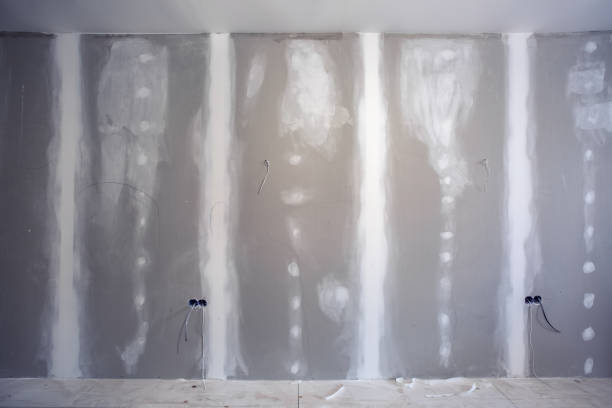 Mold Documentation for Insurance Claims in Freeport, TX
